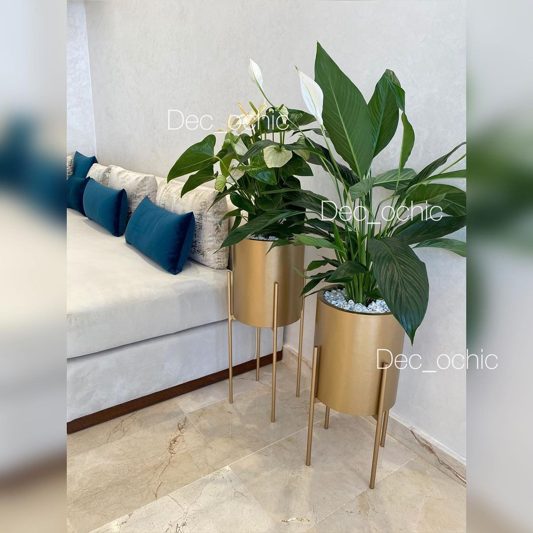 ديكورات منازل 2021