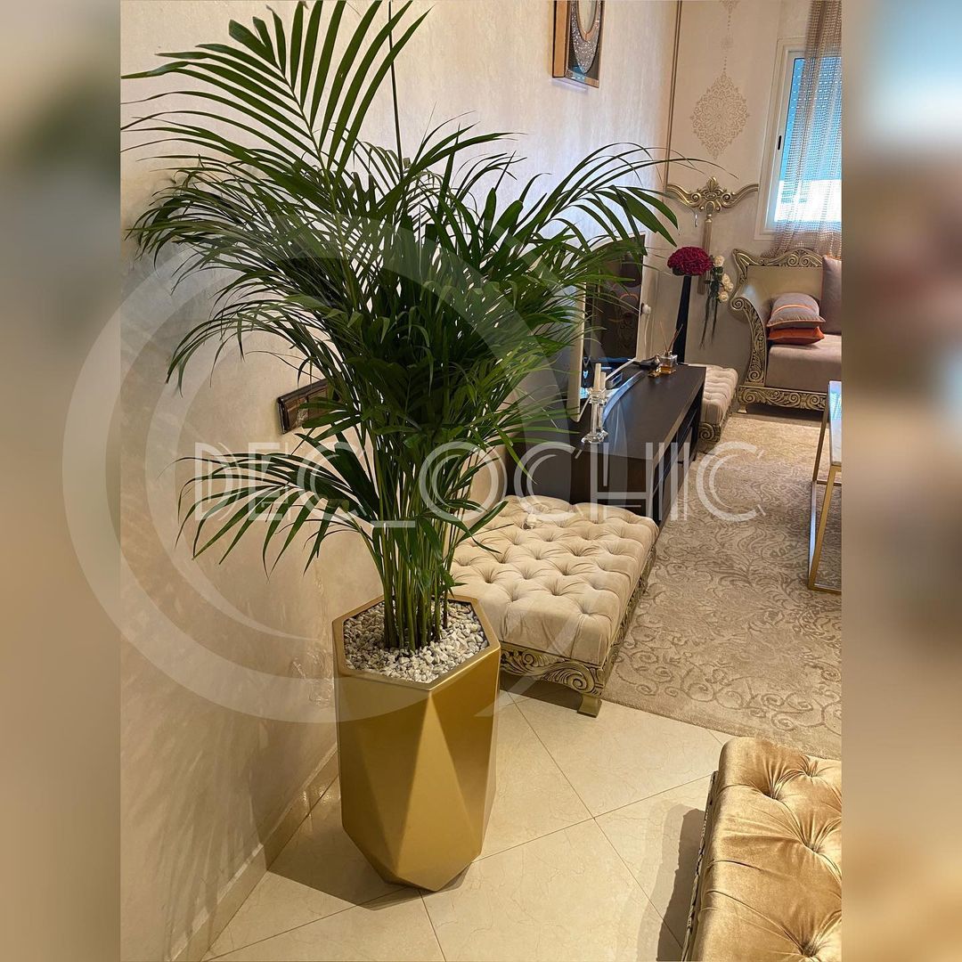 ديكورات منازل 2021