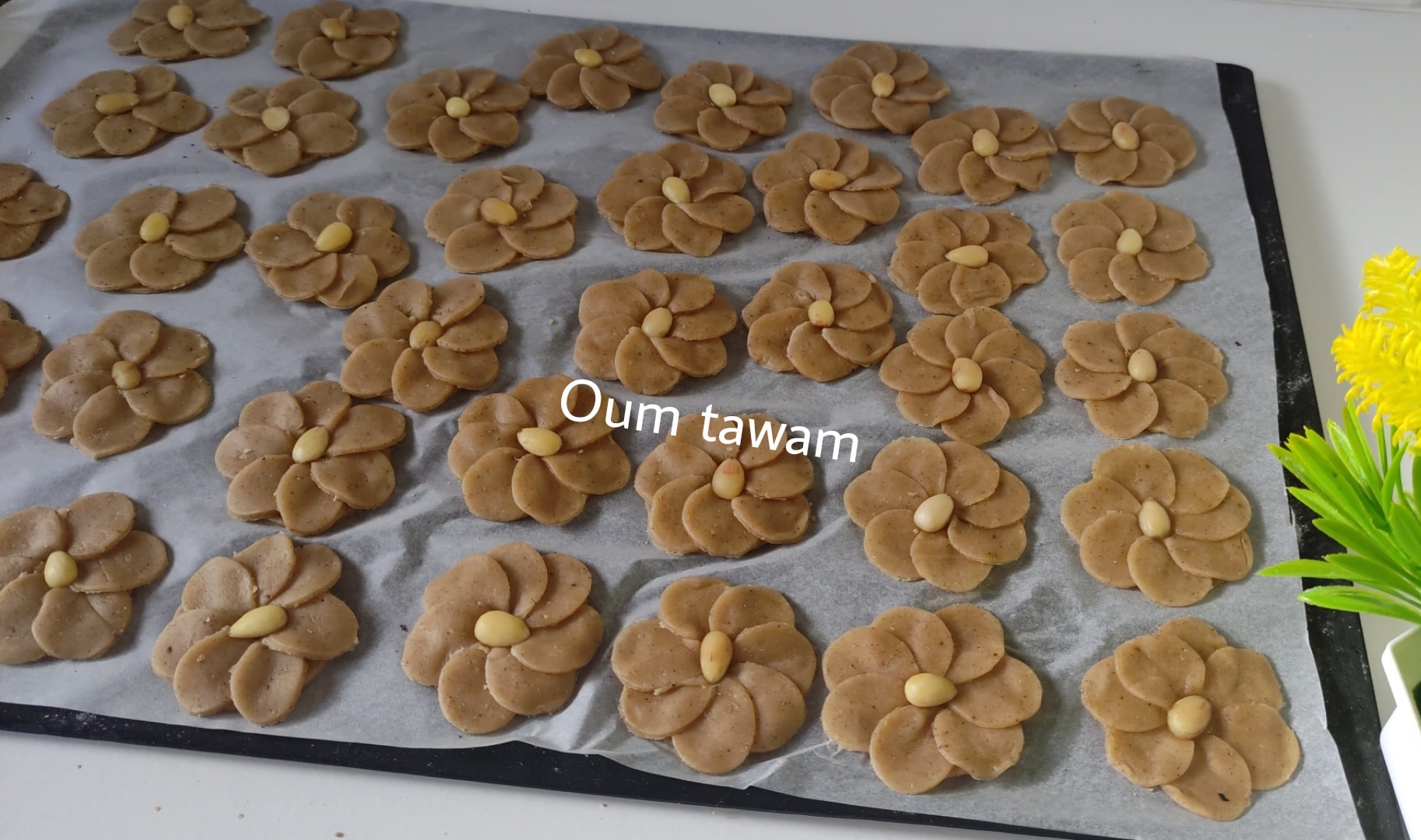 معسلات رمضان